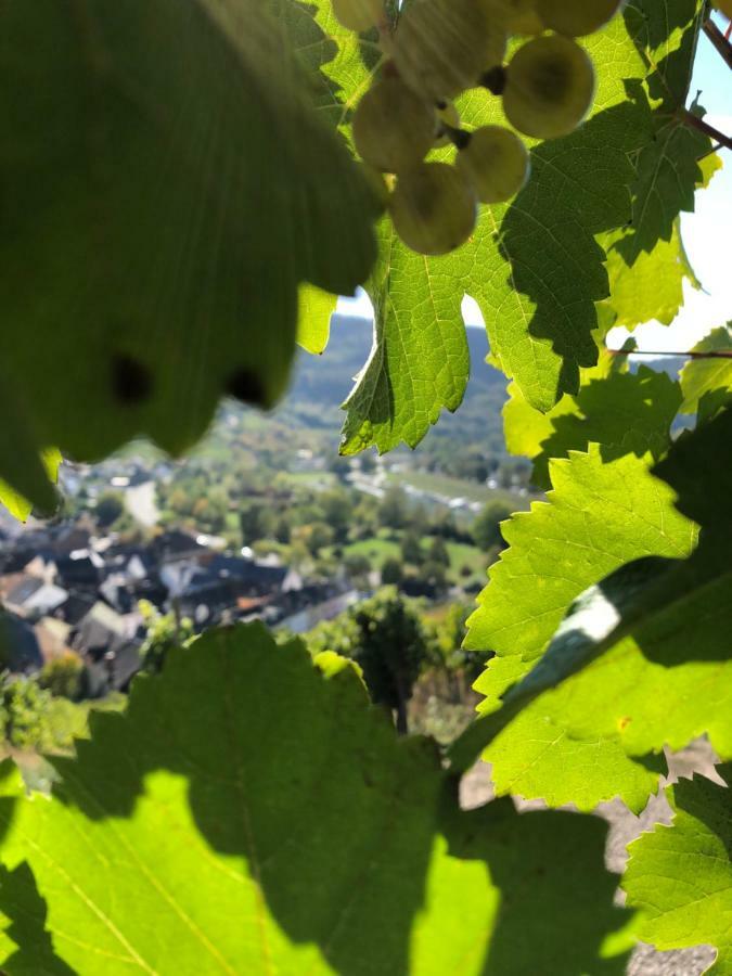 Altes Spitzhaus An Der Goldroul
